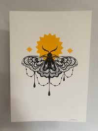 Image 4 of Moth Burst