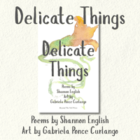 Delicate Things - Poetry & Art Chapbook