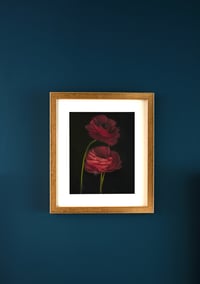 Image 1 of Pink Ranunculus no. 15 - Framed