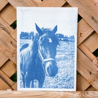 Image 5 of Custom Cyanotype Print