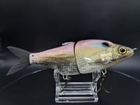 Image 2 of Zorba Baits- Shad Jr. American Shad