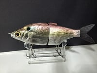 Image 4 of Zorba Baits- Shad Jr. American Shad