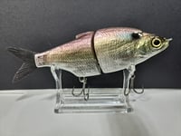 Image 1 of Zorba Baits- Shad Jr. American Shad