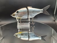 Image 6 of Zorba Baits- Shad Jr. Classic