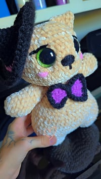 Image 2 of This bewitching kitty