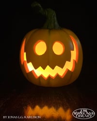 Image 1 of ORANGE COZY Halloween Pumpkin - Carved by hand & Customized
