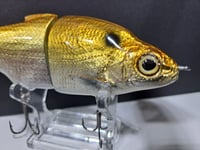 Image 4 of Zorba Baits- Shad JR