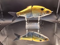 Image 6 of Zorba Baits- Shad JR