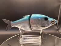 Image 5 of Zorba Baits- Shad Daddy  Blue Back