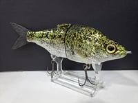 Image 1 of Zorba Baits- Shad Daddy Crappie
