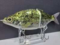 Image 5 of Zorba Baits- Shad Daddy Crappie