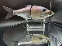 Image 4 of Zorba Baits- Shad Daddy American 
