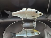 Image 6 of Zorba Baits- Shad Daddy Ghost