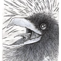Image 1 of Mad Raven Original Art
