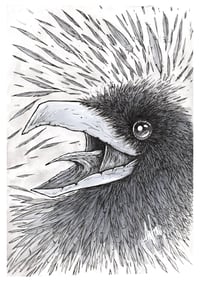 Image 2 of Mad Raven Original Art