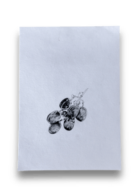 studio snack 8 drawing