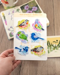 Image 1 of Birdfest pack of stickers