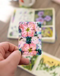 Image 1 of Soft pink primroses