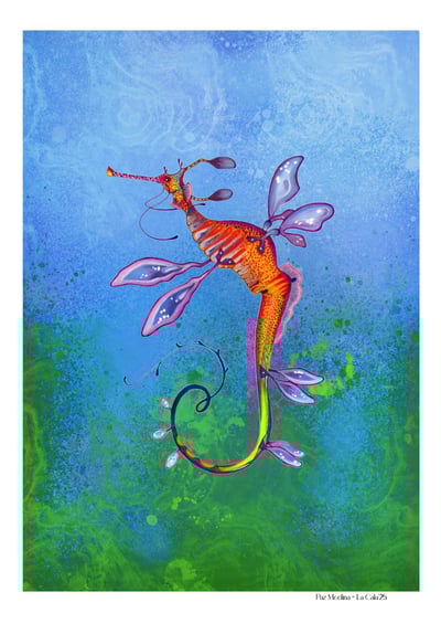 Image of Seadragon🐚