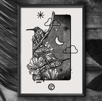 Image 2 of THE NIGHT OF HUMMINGBIRDS X FONDATION LE PAL NATURE