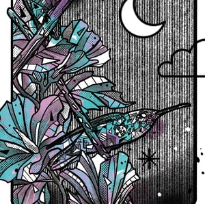 THE NIGHT OF HUMMINGBIRDS X FONDATION LE PAL NATURE