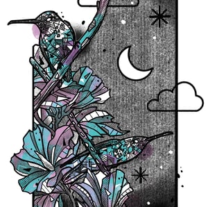 THE NIGHT OF HUMMINGBIRDS X FONDATION LE PAL NATURE
