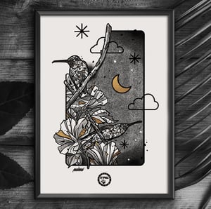 THE NIGHT OF HUMMINGBIRDS X FONDATION LE PAL NATURE