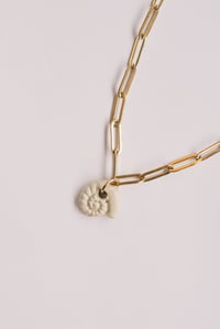 Image 4 of Penjoll cargol de mar