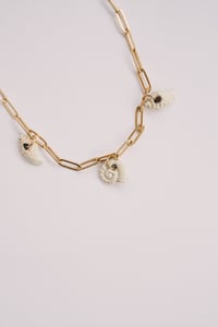 Image 5 of Penjoll cargol de mar