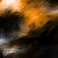 Image 2 of HOLOGRAPHIC UNIVERSE