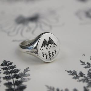Image of SAMPLE SALE:  Silver Signet rings