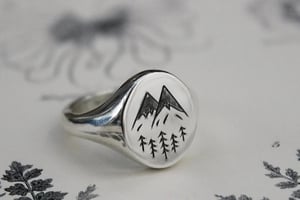 Image of SAMPLE SALE:  Silver Signet rings