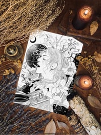 THE SONG OF ACHILLES Postcard