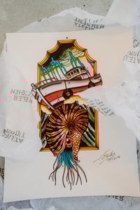 Image 1 of NAUTILUS – KUNSTDRUCK