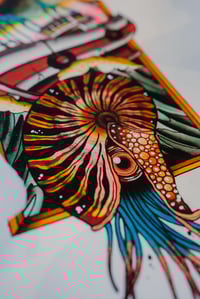 Image 2 of NAUTILUS – KUNSTDRUCK