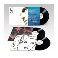PAUL WELLER - Fly On The Wall (B Sides & Rarities) - 3LP