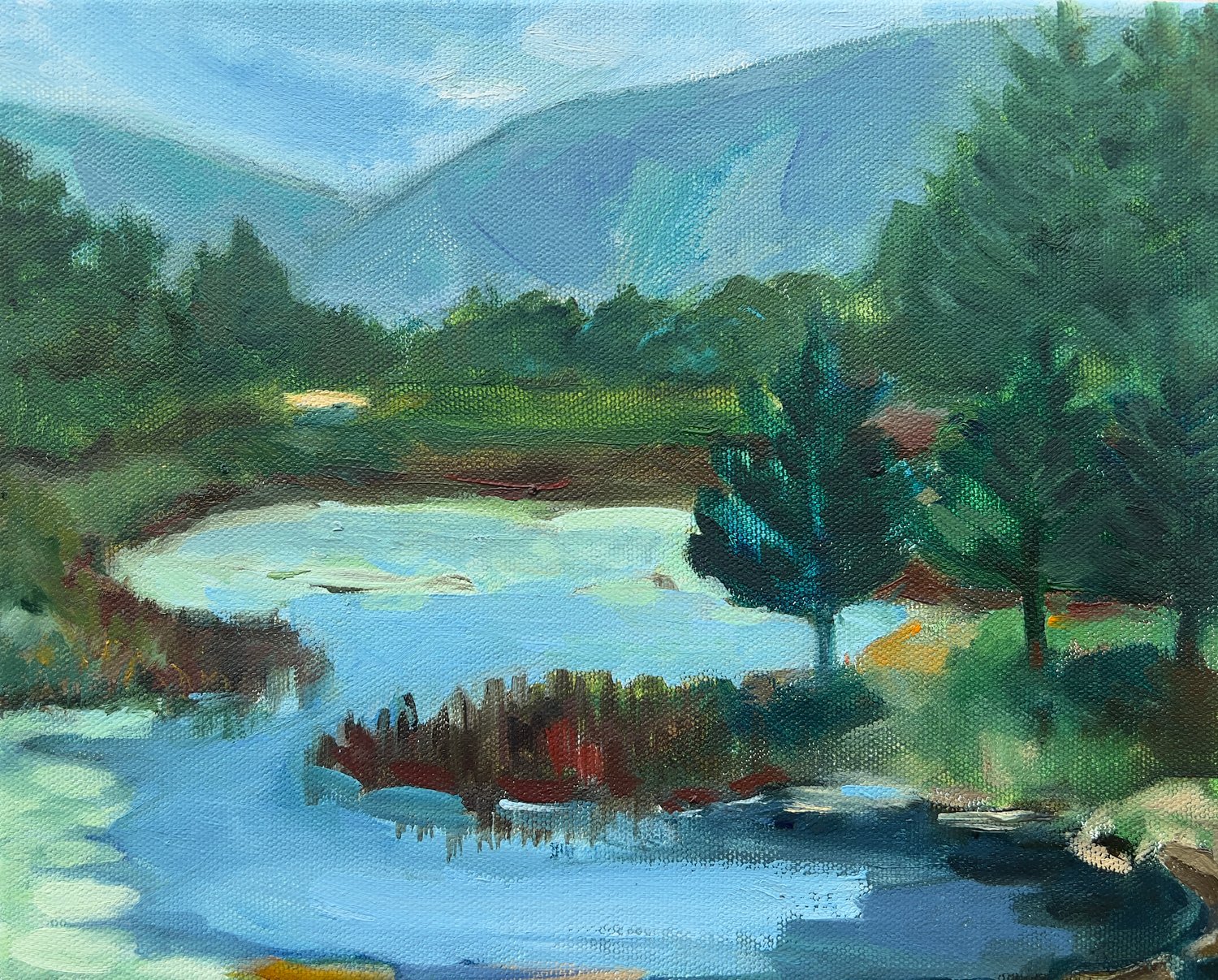 Image of Duck Brook above the Beaver Dam