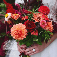 Image 4 of DAHLIA FILLED PUMPKIN: FALL CENTERPIECE 