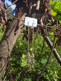 Image 4 of Chia seed earrings 