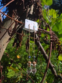 Image 5 of Chia seed earrings 