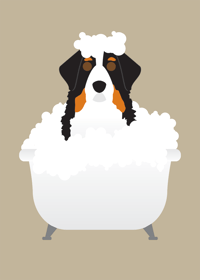 Image 4 of Bernese Mountain Dog Collection