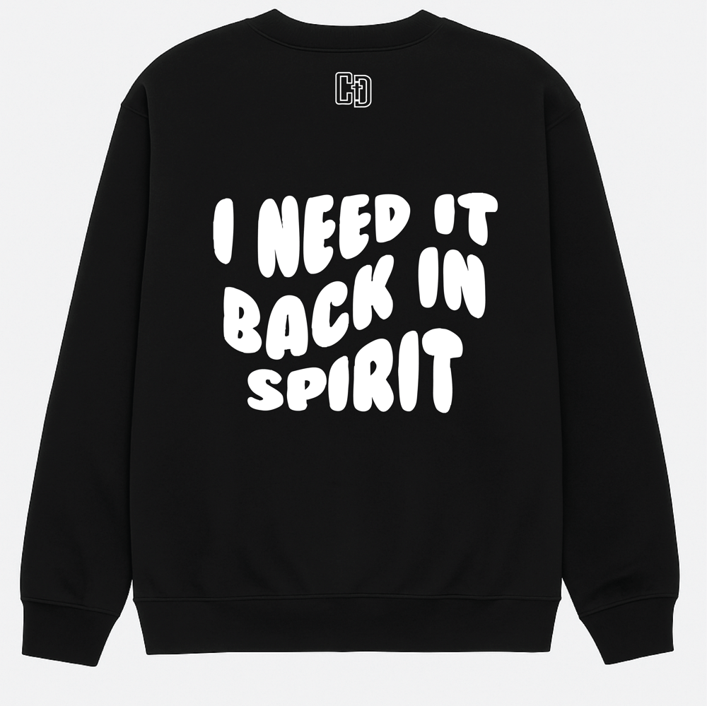 Image of Back in Spirit Sweater