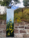 Gorse