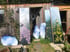 Gorse Image 2