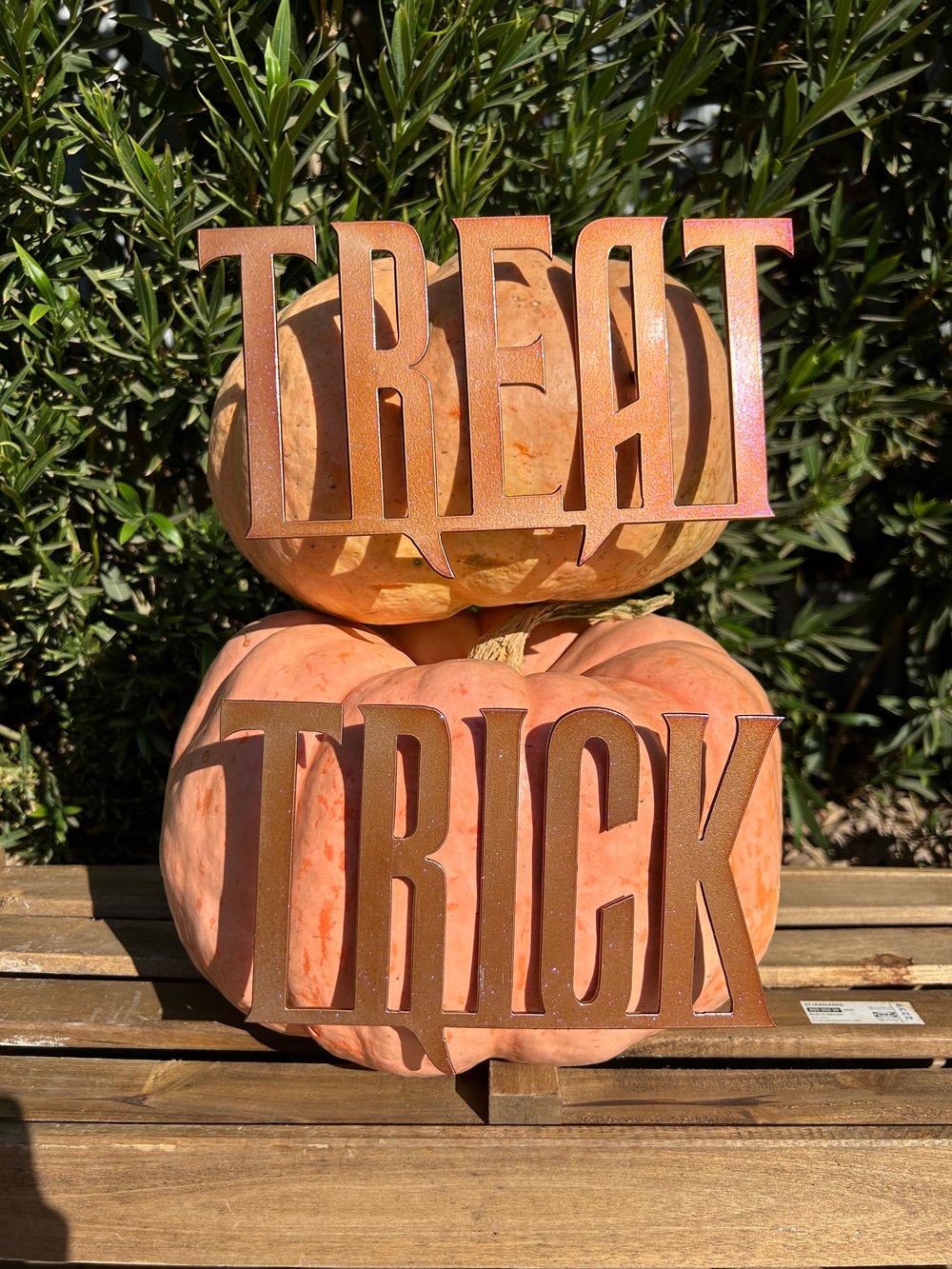 Image of Trick & Treat Pumpkin Stakes – Set of 2 