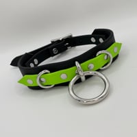 Image 1 of Toxic Pup Collar
