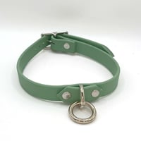 Image 1 of Simple Sage Kitten Collar
