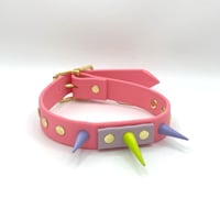 Image 1 of Playground Kitten Collar