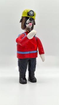 Image 2 of A Rescue Dog