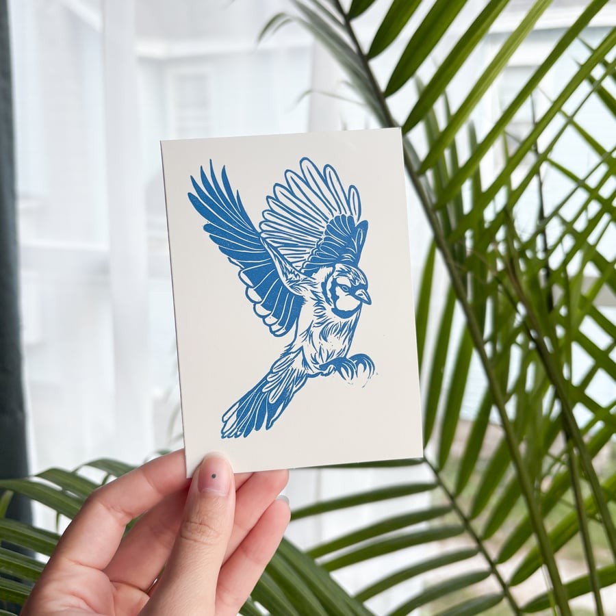 Image of Bluejay – Greeting Card